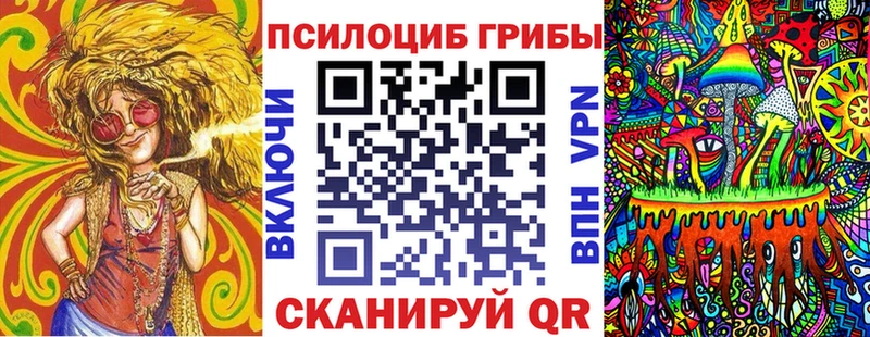 Псилоцибиновые грибы Psilocybe  купить   Мценск 